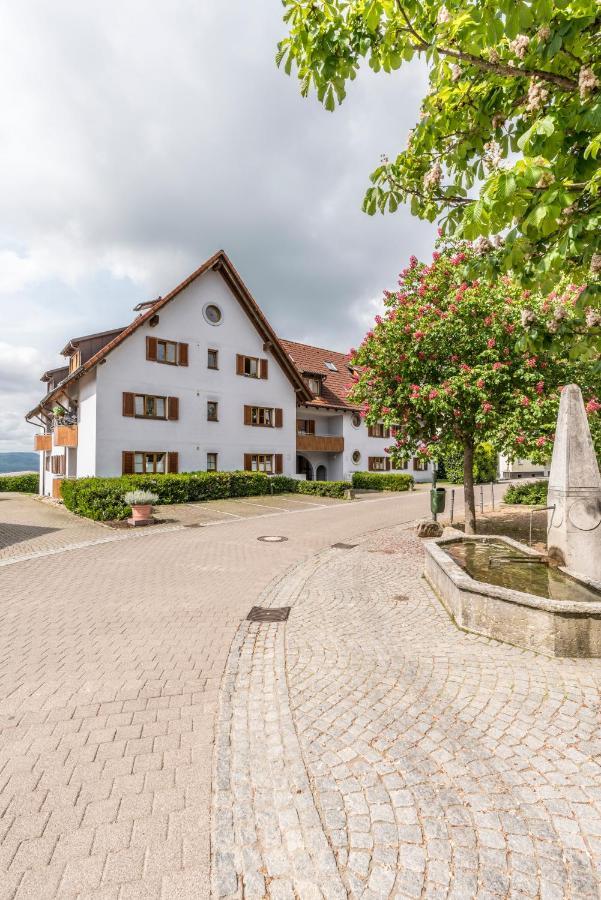 Rh-Appartements 15 Minuten Von Basel Im Dorf Ruehrberg Grenzach-Wyhlen Εξωτερικό φωτογραφία